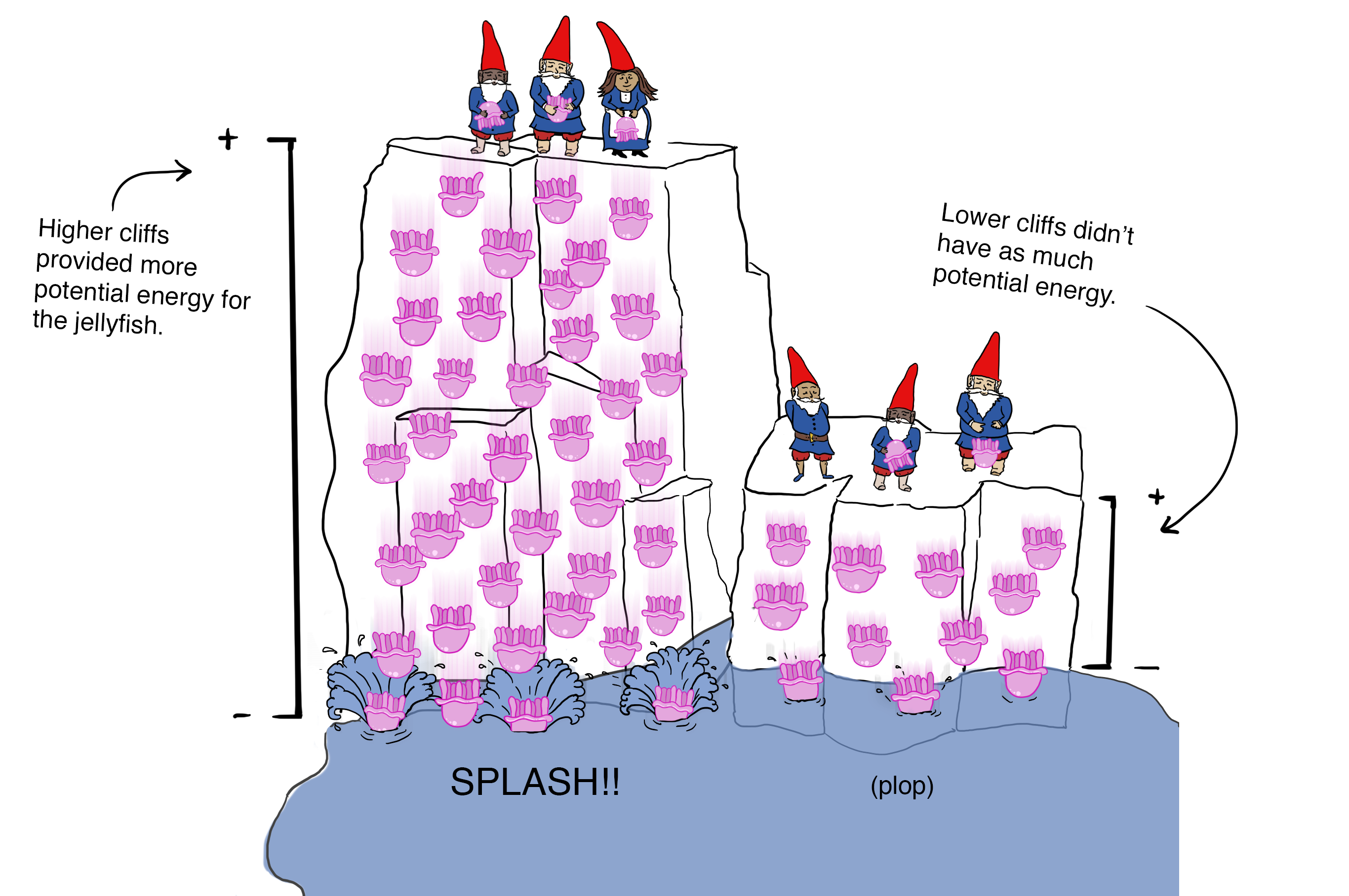 Higher cliffs provide more "voltage", that is, electrical potential. Voltage is like electrical "pressure", pushing the charges—jellyfish—from high potential energy toward a location of lower potential.